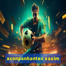 aconpanhantes xaxim